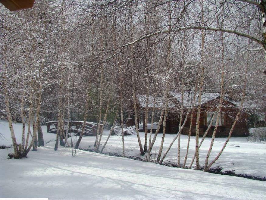 En El Corazon Del Bosque San Carlos de Bariloche