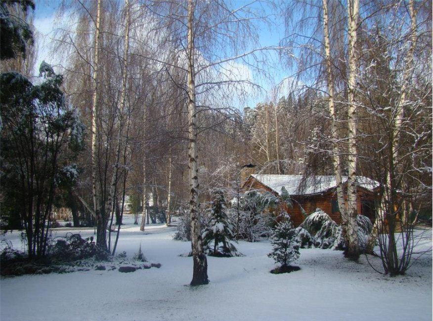 Lodge En El Corazon Del Bosque San Carlos de Bariloche