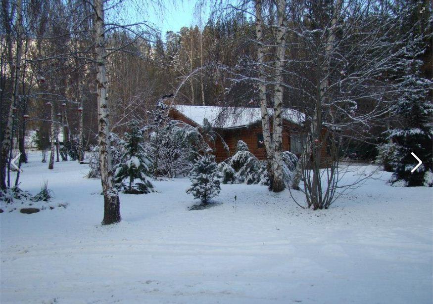 Lodge En El Corazon Del Bosque