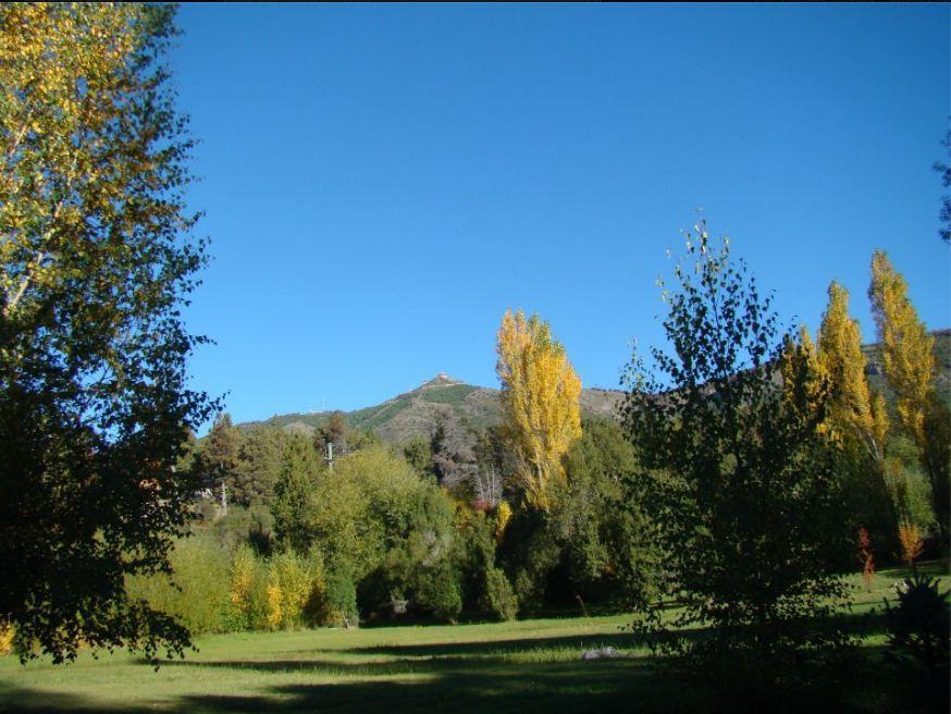 En El Corazon Del Bosque