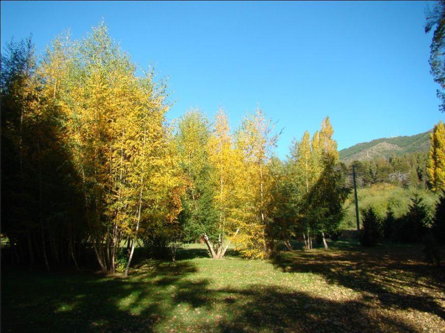 Lodge En El Corazon Del Bosque San Carlos de Bariloche