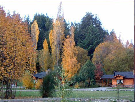 Lodge En El Corazon Del Bosque San Carlos de Bariloche